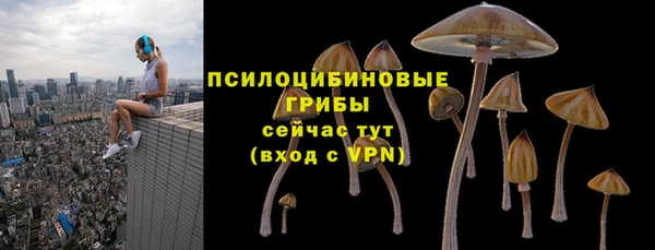 прущая мука Приозерск