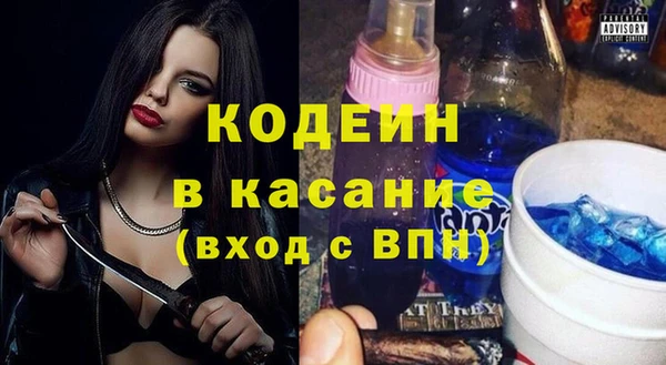 индика Баксан