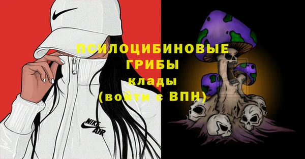 прущая мука Приозерск