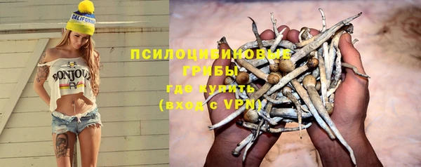 индика Баксан