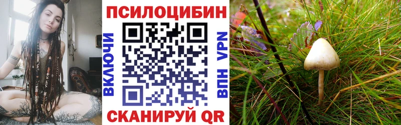 Галлюциногенные грибы Cubensis  цены   МЕГА сайт  Чкаловск 
